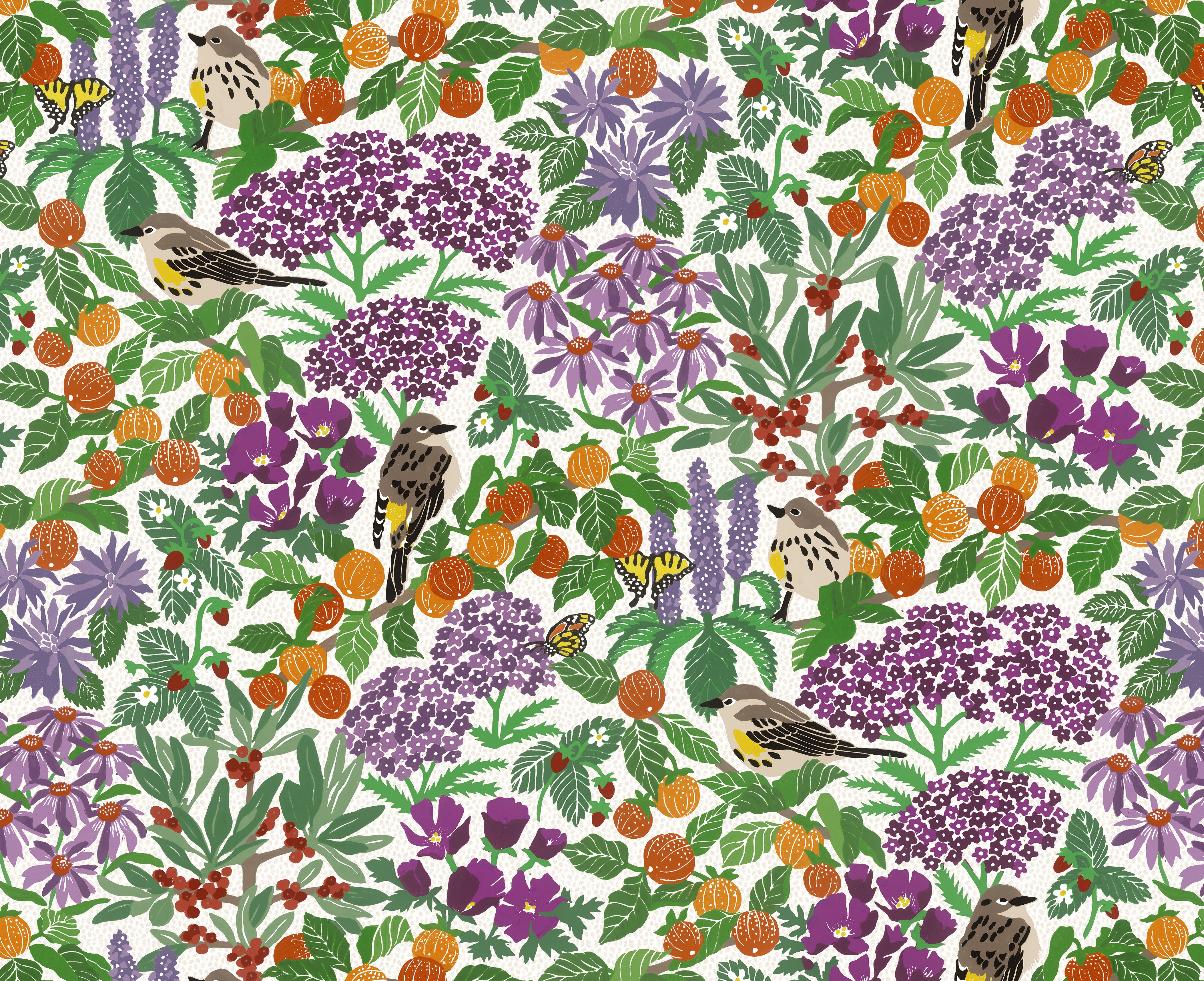 AMERICAN PERSIMMON Wallpaper in Sunrise