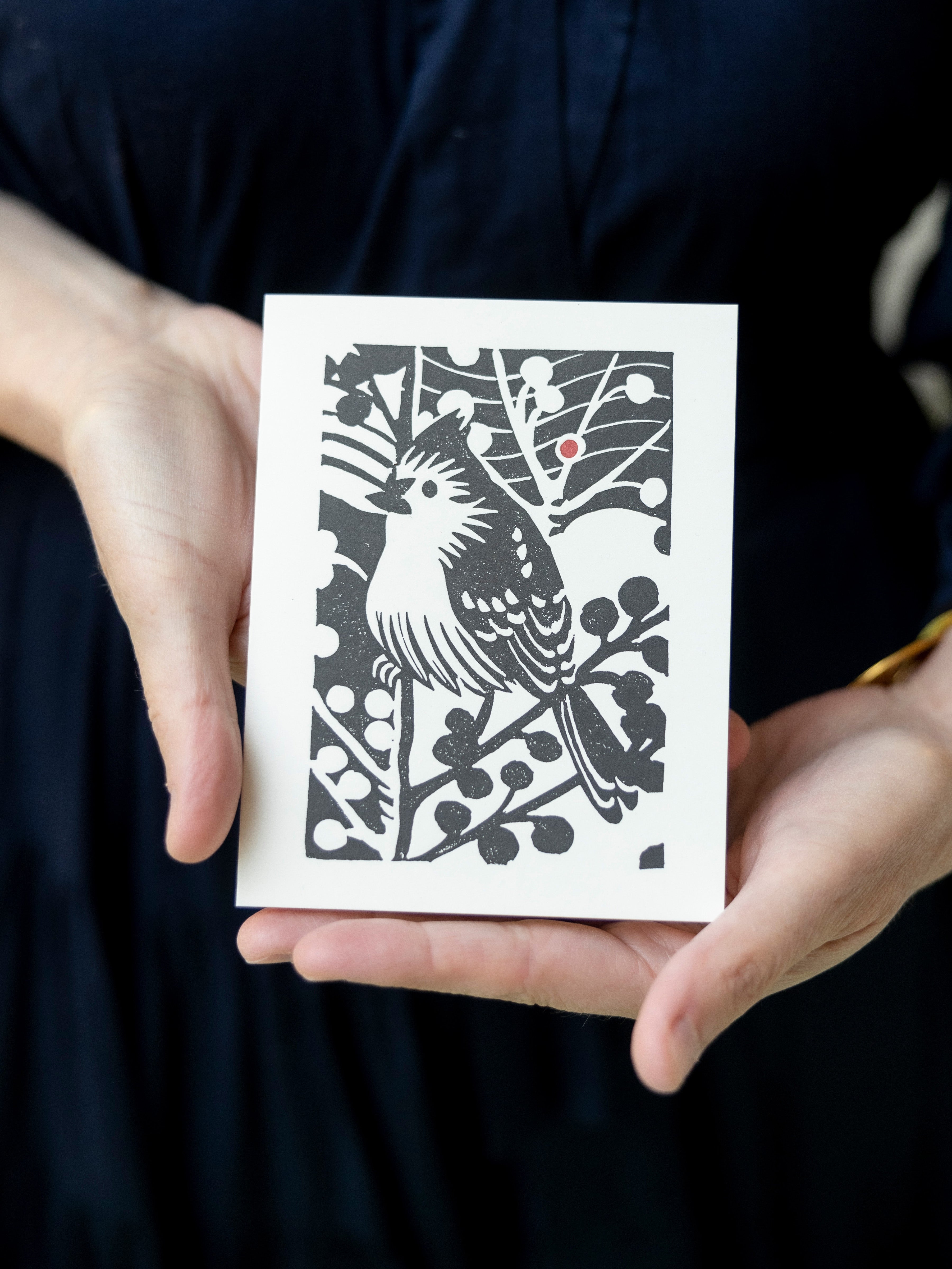 Ilex Verticillata and Tufted Titmouse