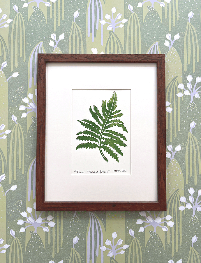 Introducing Bead Fern